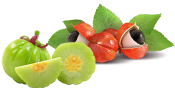 Guarana en Garcinia Cambogia