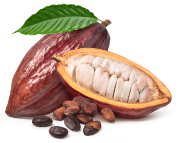 Cacao poeder