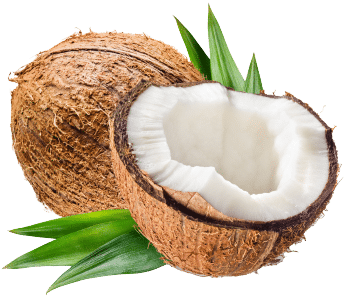 Kokosnoot