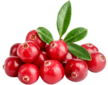 Cranberry-extract