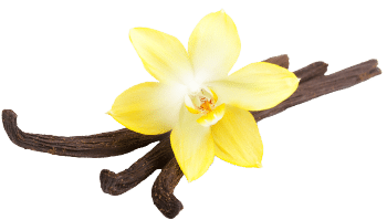 Vanille- en kokosnootpoeder