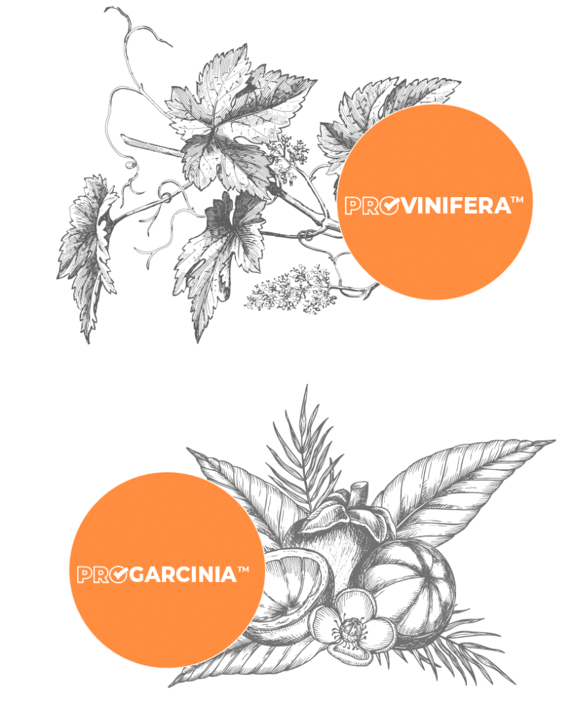 Cellulite PRO 1+1 GRATIS