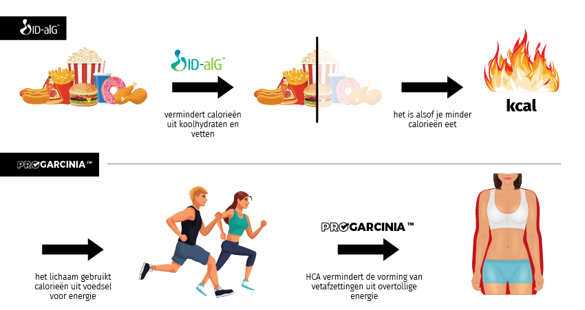 D-FatBurner 1+1 GRATIS