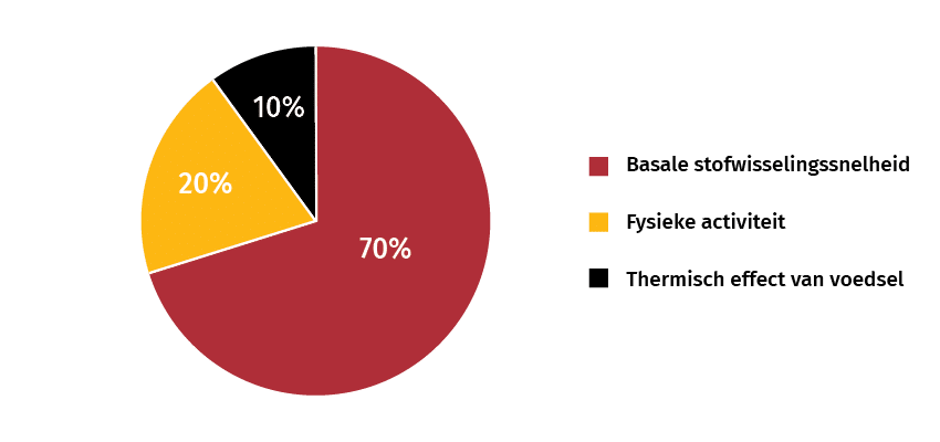 Metabolism Booster Extreme